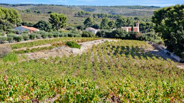 Domaine de la Suffrène