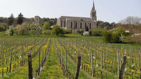 Domaine Regina