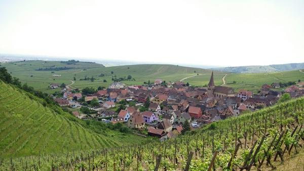 Domaine Albert Boxler