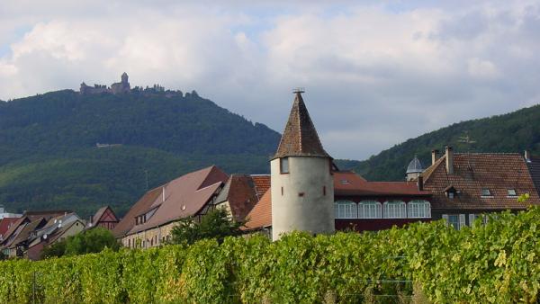 Domaine Huber et Bléger