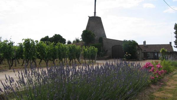 Domaine des Bleuces 