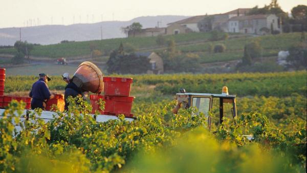 Domaine La Bouysse 