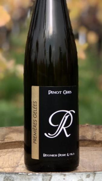 Pinot gris - Premières gelées