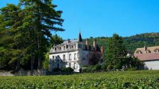 Domaine Chapelle et Fils 