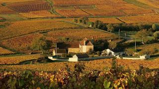 Domaine François Berthenet 