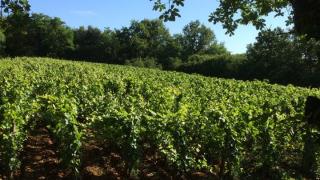 Domaine Jean-Yves Devevey